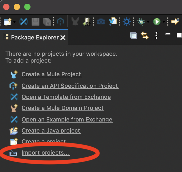 Anypoint import projects menu